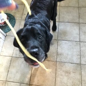 Meet your Posher, Abigail